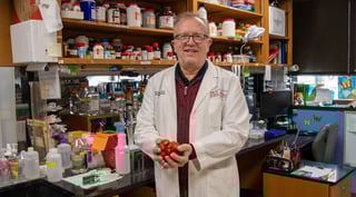 Scofield-strawberries-1800x1000-1